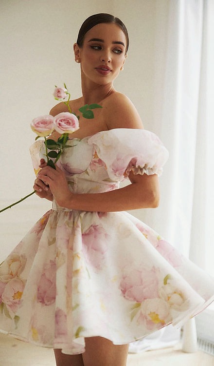 Dress Rose Bustier