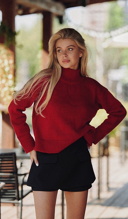 Skirt Shorts