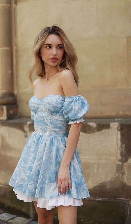 Mystery Garden Bustier Dress