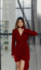 Red Velour Dress