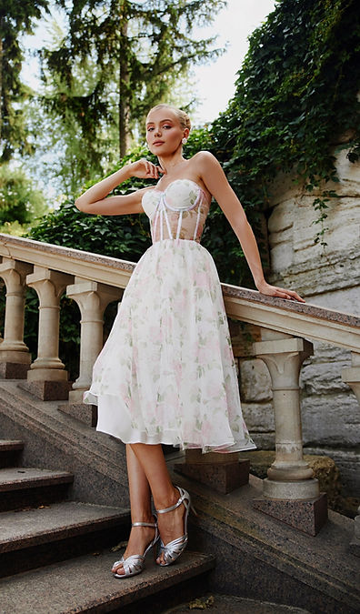 Roses Royal Dress
